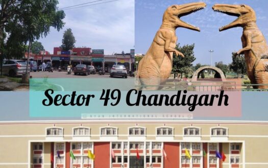 Flat in Chandigarh Sector 49